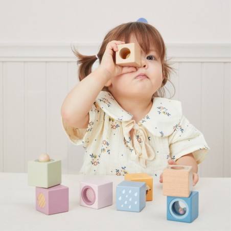 VIGA PolarB puidust sensoorsed klotsid