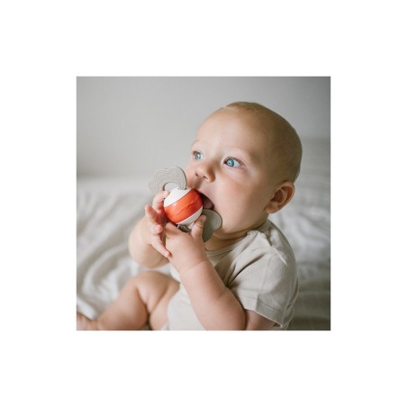 KÕRISTI NÄRIMISMÄNGUASI BEEBILE