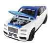 Puldiga auto R/C 1:20 Valge ja sinine