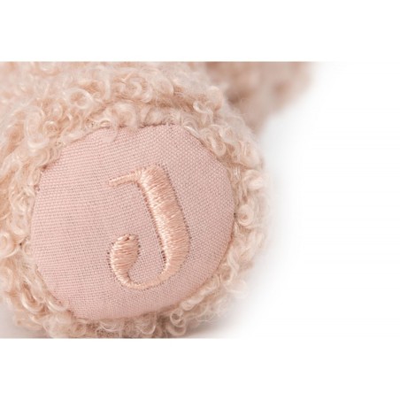 Kõristi Teddy Bear - Wild Rose