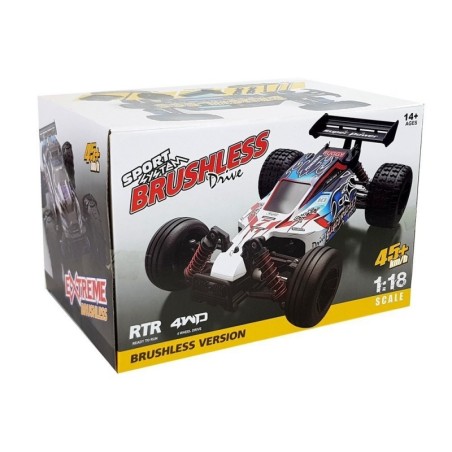 Kaugjuhitav ralliauto 1:18 sinine ENOZE 9302E Kiirus 45 km/h