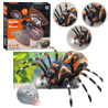 Kaugjuhitav Spider Tarantula infrapuna must R/C ST