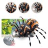 Kaugjuhitav Spider Tarantula infrapuna must R/C ST