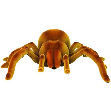 Kaugjuhitav Tarantula Spider Infrapunapruun R/C