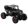 R/C Monster Car Jeep 1:18 must