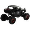 R/C Monster Car Jeep 1:18 must