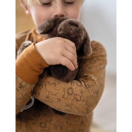 Koer kandekoti ja hoolduskomplektiga