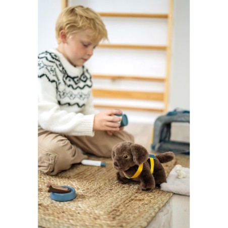 Koer kandekoti ja hoolduskomplektiga