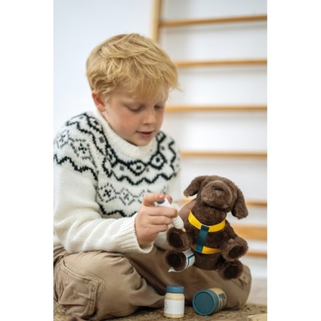 Koer kandekoti ja hoolduskomplektiga