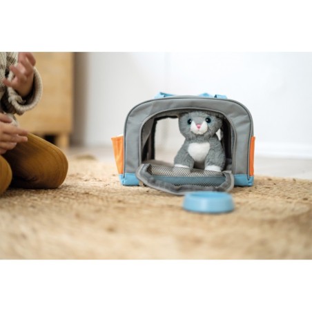 Kass kandekoti ja hoolduskomplektiga