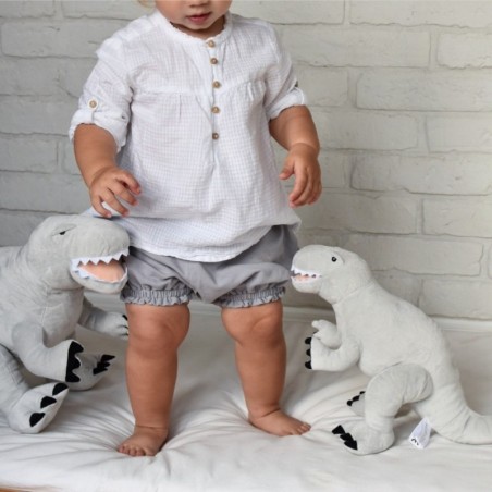 Pehme dinosaurus, hall