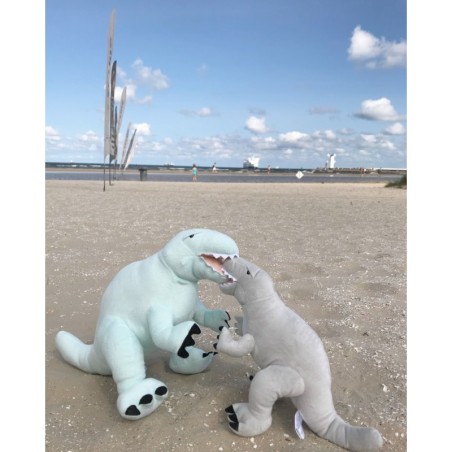 Pehme dinosaurus, hall