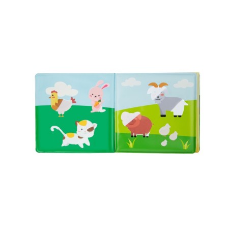 BEEBIRAAMAT VÕLU TALU