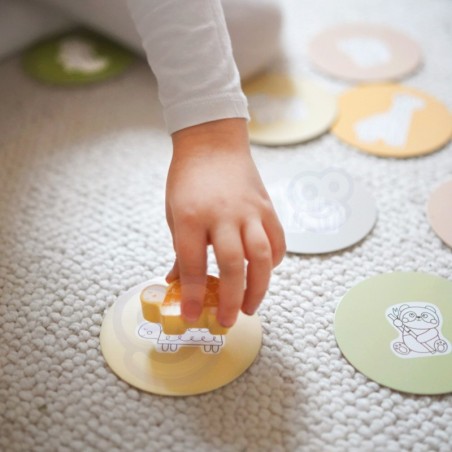 Sobitamise mäng FSC