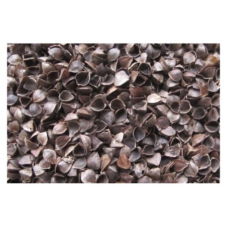 Luxe Aloe Vera 120 x 60 tatravahust kookose madrats