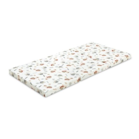 Reisimadrats – KILPKONN