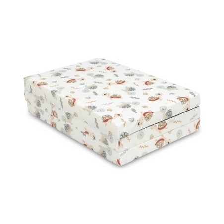 Reisimadrats – KILPKONN