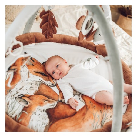 Mängumatt kaartega, fox