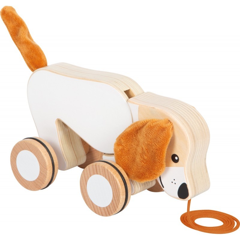 Kõrvadega järelveetav koer