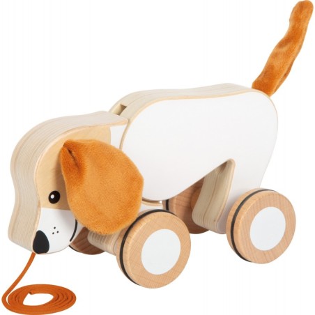 Kõrvadega järelveetav koer