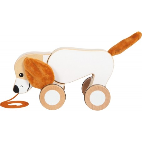 Kõrvadega järelveetav koer