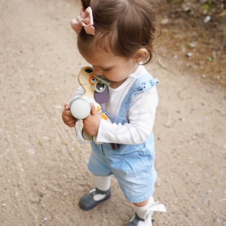 Viga PolarB puidust järelveetav koer