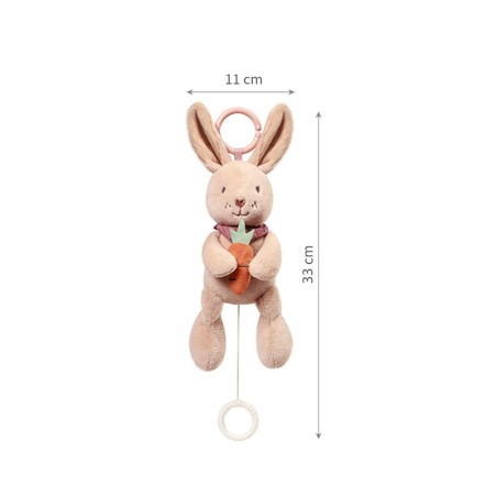 MUUSIKAGA BEEBIMÄNGUASI JÄNES