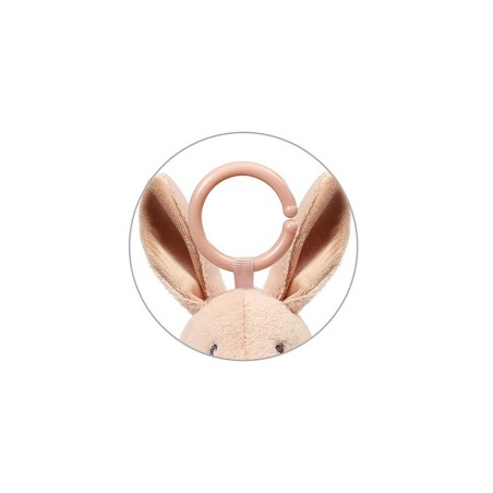 JÄNES KARO BEEBIMÄNGUASI RIPATS