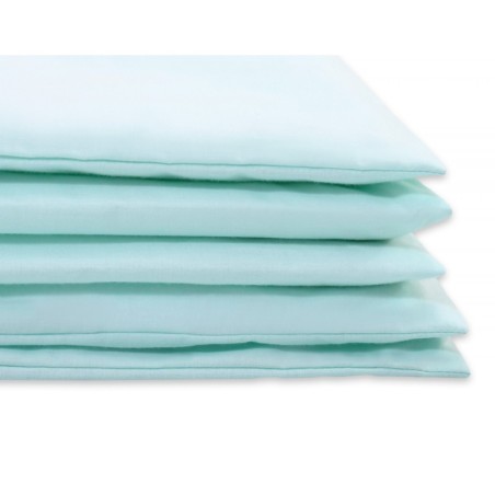 Voodipesu komplekt 100x135 / 60x40 cm, mint