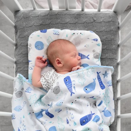 Beebipadi, 33x28cm, photosafari