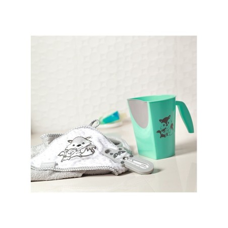 VANNITERMOMEETRE RACCON GREY